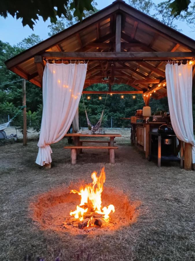 Wood Camping