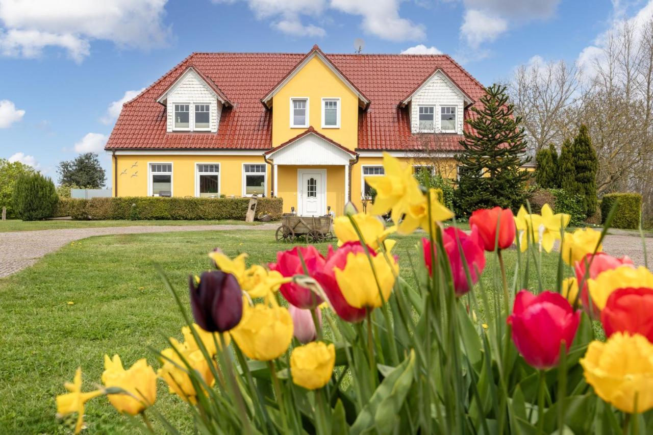 Ferienhof am Leuchtturm mit Meerbl - B&B Kägsdorf