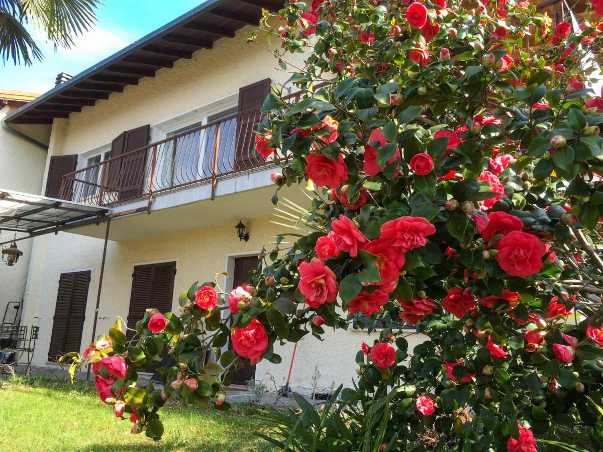 Appartamento Ibisco - B&B Porto Valtravaglia