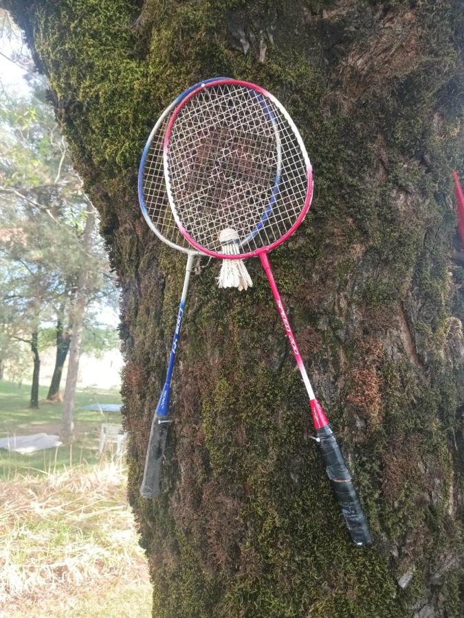 Old house - Chambres d’hôtes Nikšić