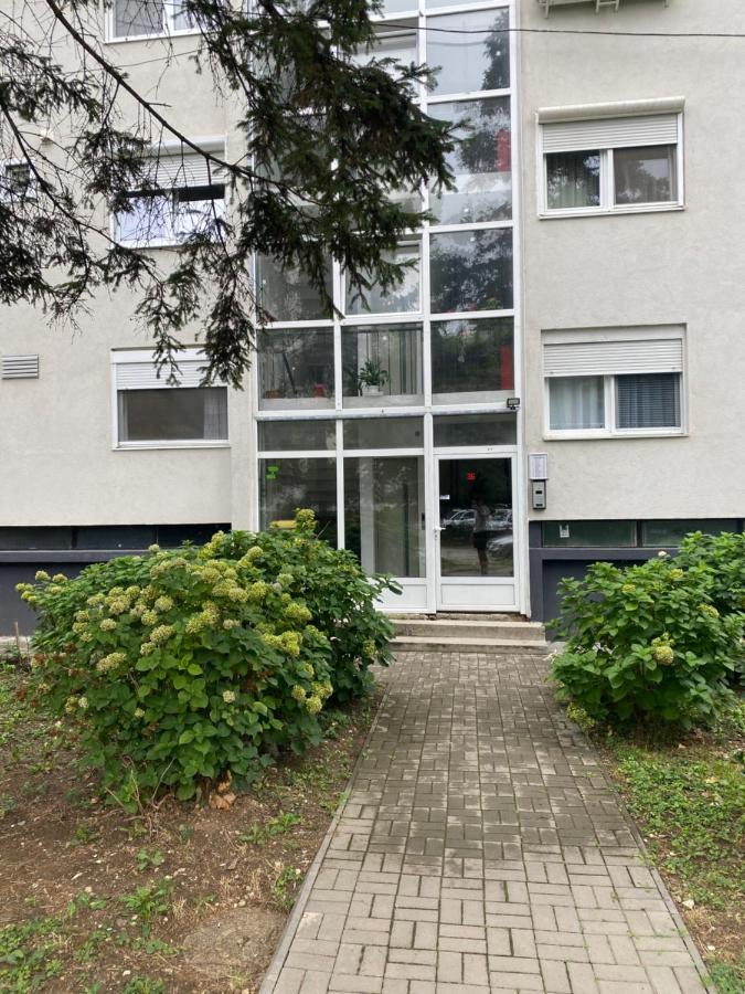 Stella Apartman Čačak - Ferienwohnung Čačak