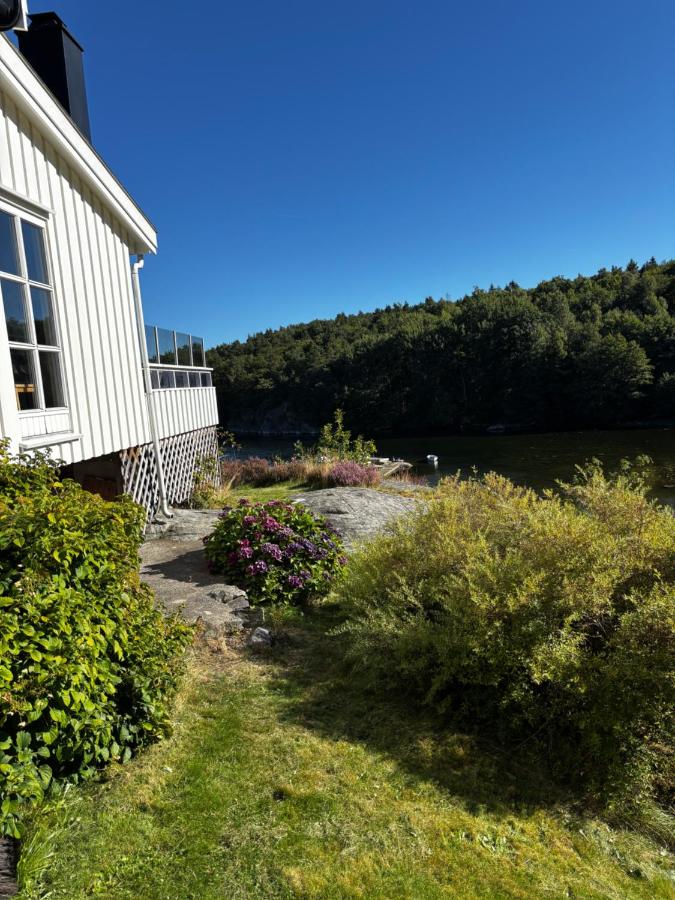 Pollyville - B&B