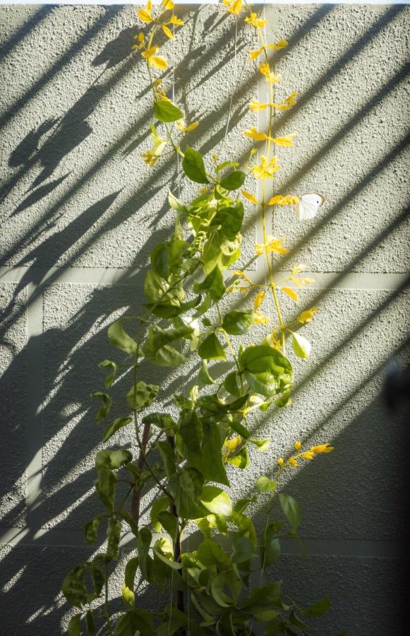 Tweepersoonskamer met Terras