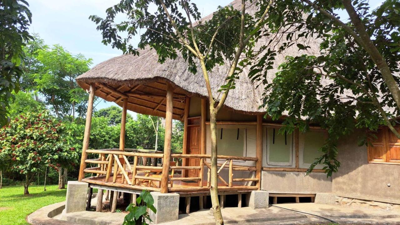 Twin Room with View