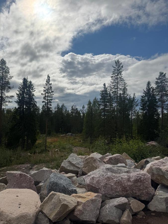 Honkamaja, Aavasaksa, Lappi, Lapland - B&B