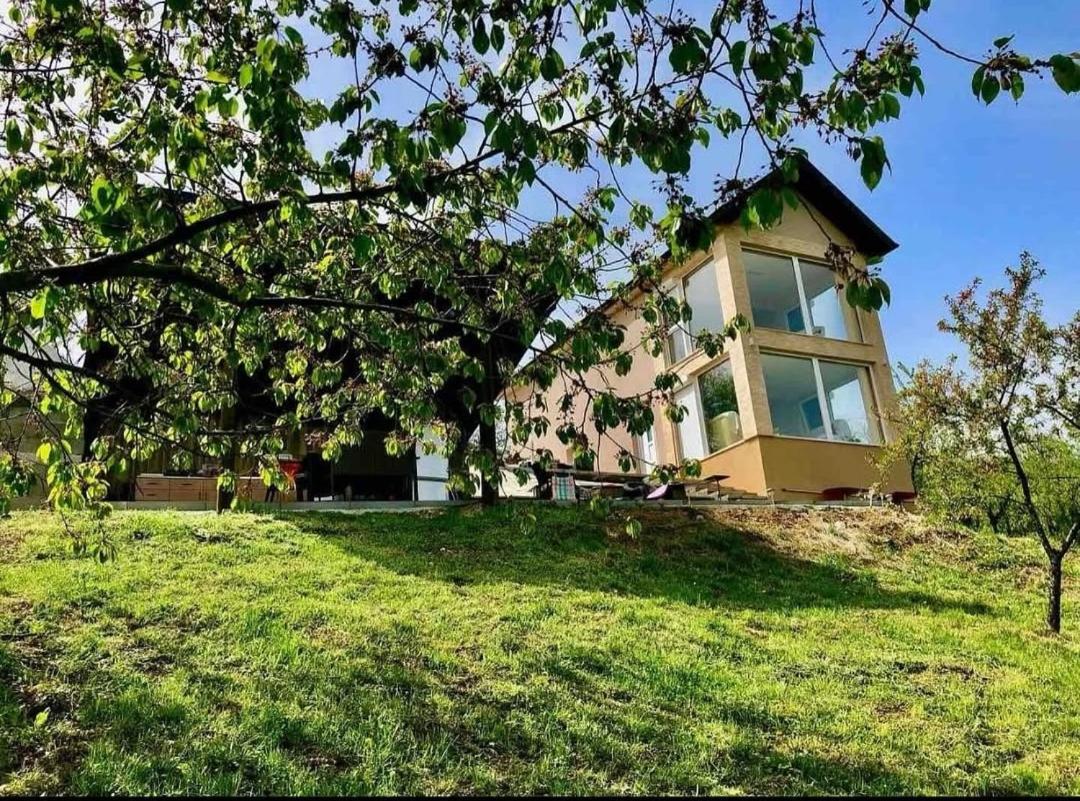 Appartement - Begane Grond