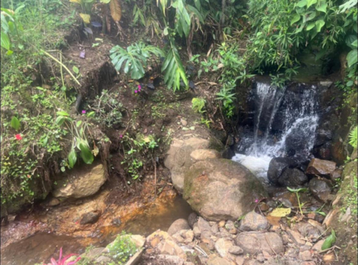 Casa El Pinar - B&B Jardin