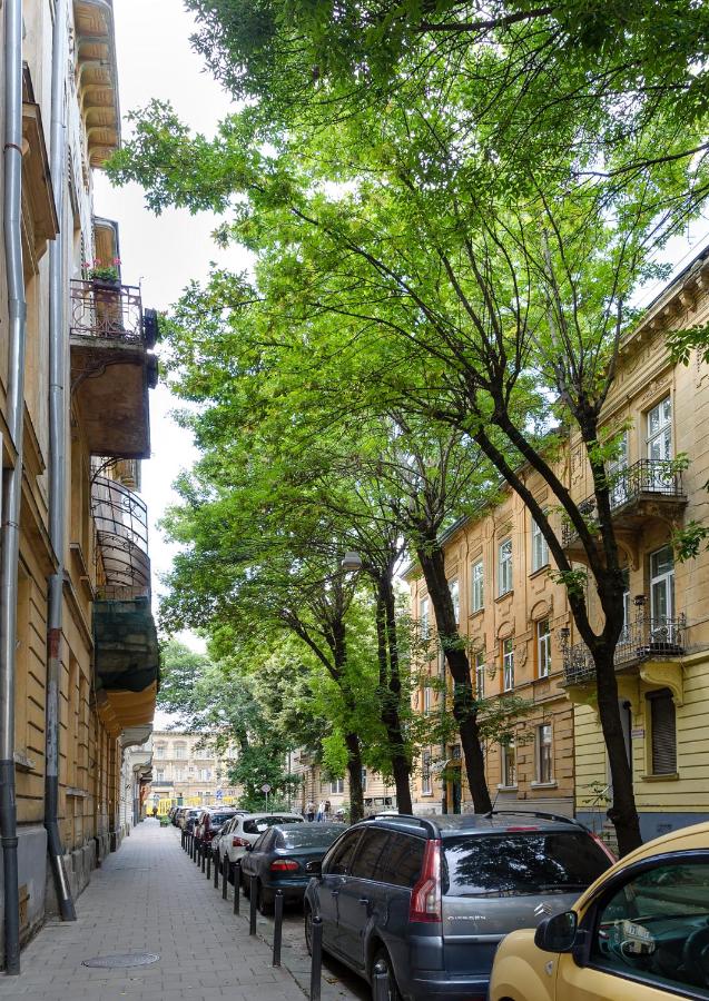 Cozy Apartment in the City Center - B&B Leopoli