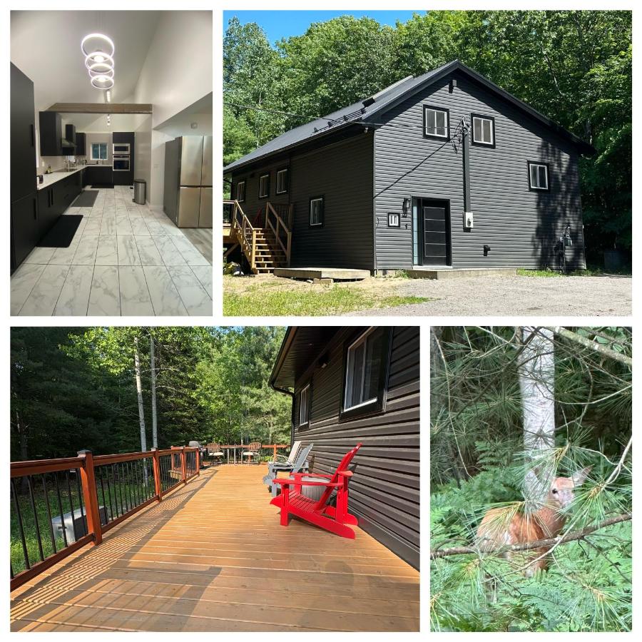 Charcoal Tree House - Chambres d'hôtes Gravenhurst