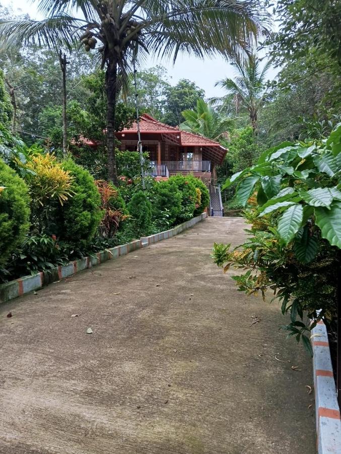 Family nest homestay - Bed and Breakfast Jambur