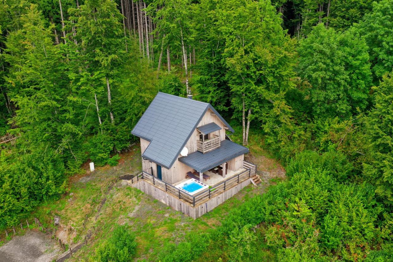 Chalet Dream Sky - Bed and Breakfast Mrkopalj