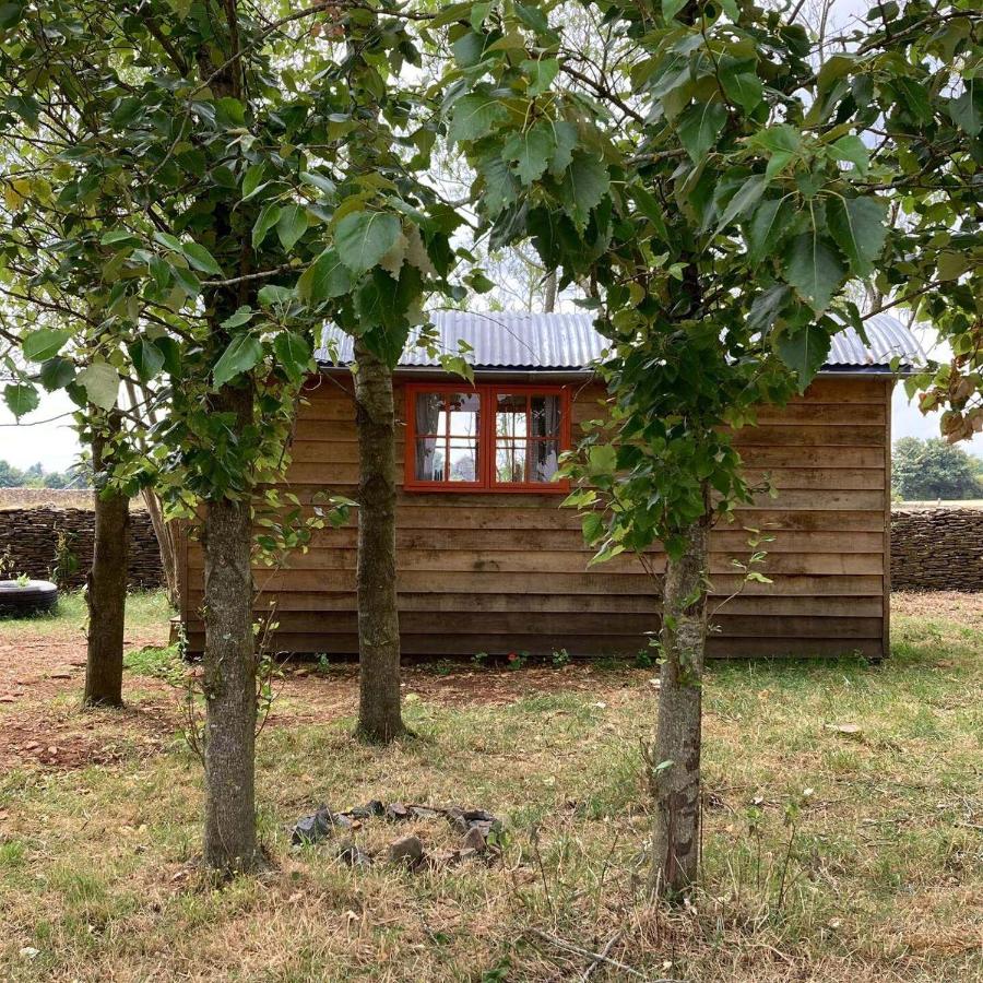 Secluded off grid Shepherd's Hut - B&B Minchinhampton