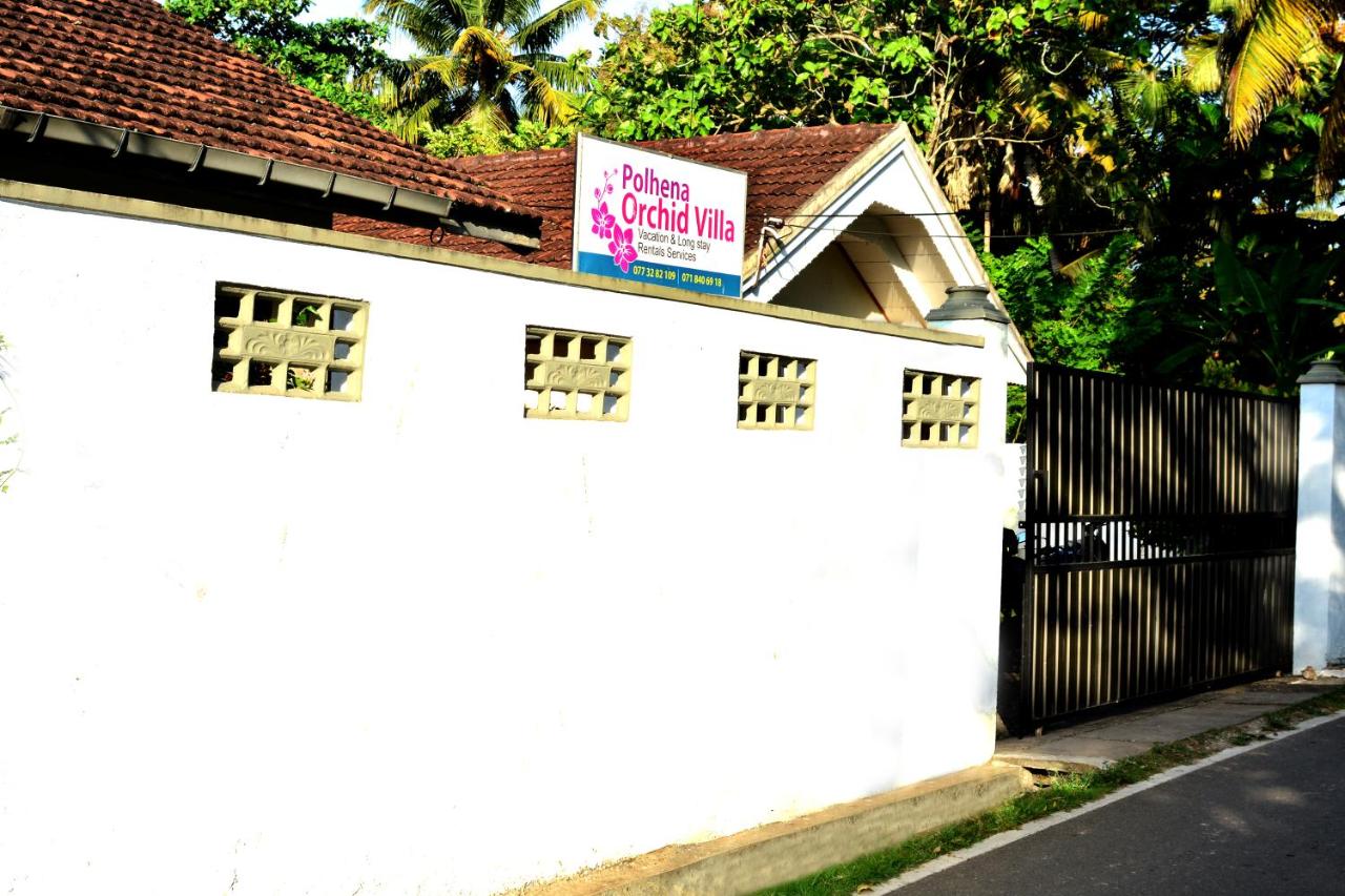 Polhena Orchid Villa - B&B