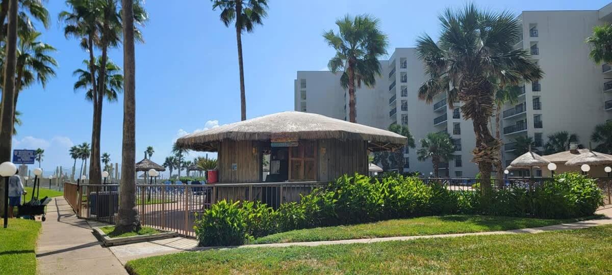 Saida Towers II #104 - Ferienwohnung South Padre Island