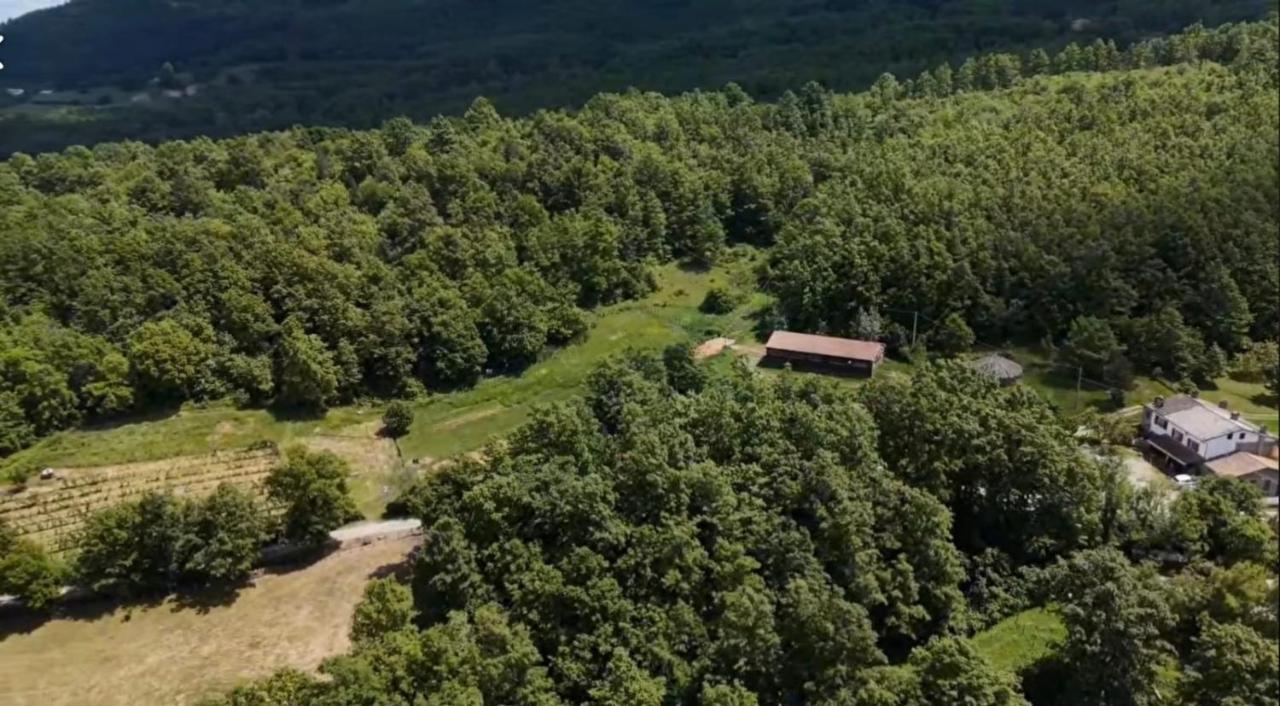Agriturismo Il Respiro del Bosco - B&B San Piero in Bagno
