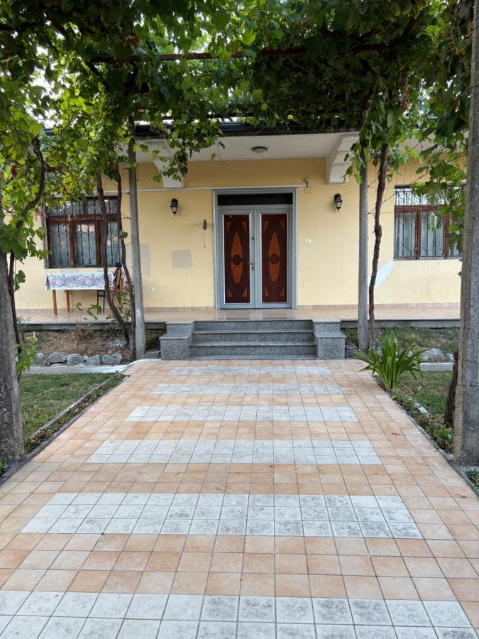 House Vata - B&B Scutari