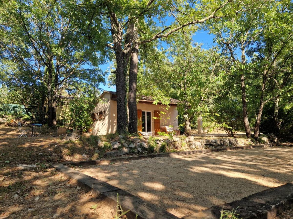 logement entier en pleine nature avec jardin terrasse tennis pétanque piscine - Chambres d'hôtes Saint-Paul-en-Forêt