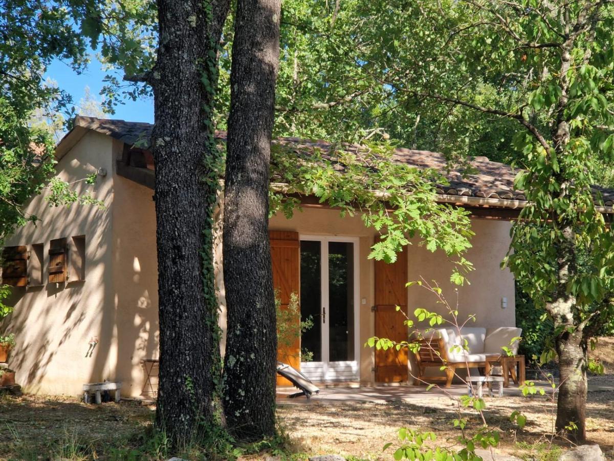 logement entier en pleine nature avec jardin terrasse tennis pétanque piscine - Chambres d'hôtes Saint-Paul-en-Forêt