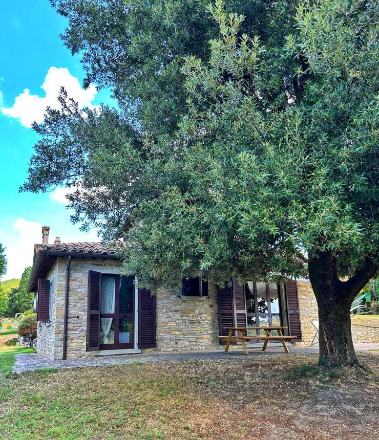 Agriturismo Podere Pietraluna - B&B Città di Castello