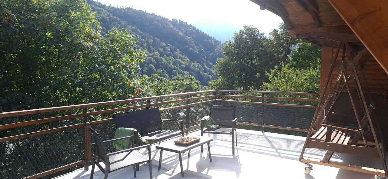 Casa Zaharia Azuga - Ferienwohnung Azuga