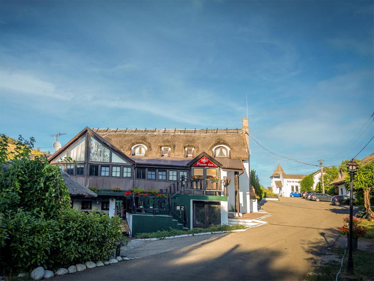 Hanul Pescarilor - B&B Săldăbagiu de Munte