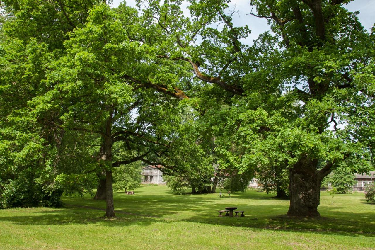 Pālena apartamenti - B&B