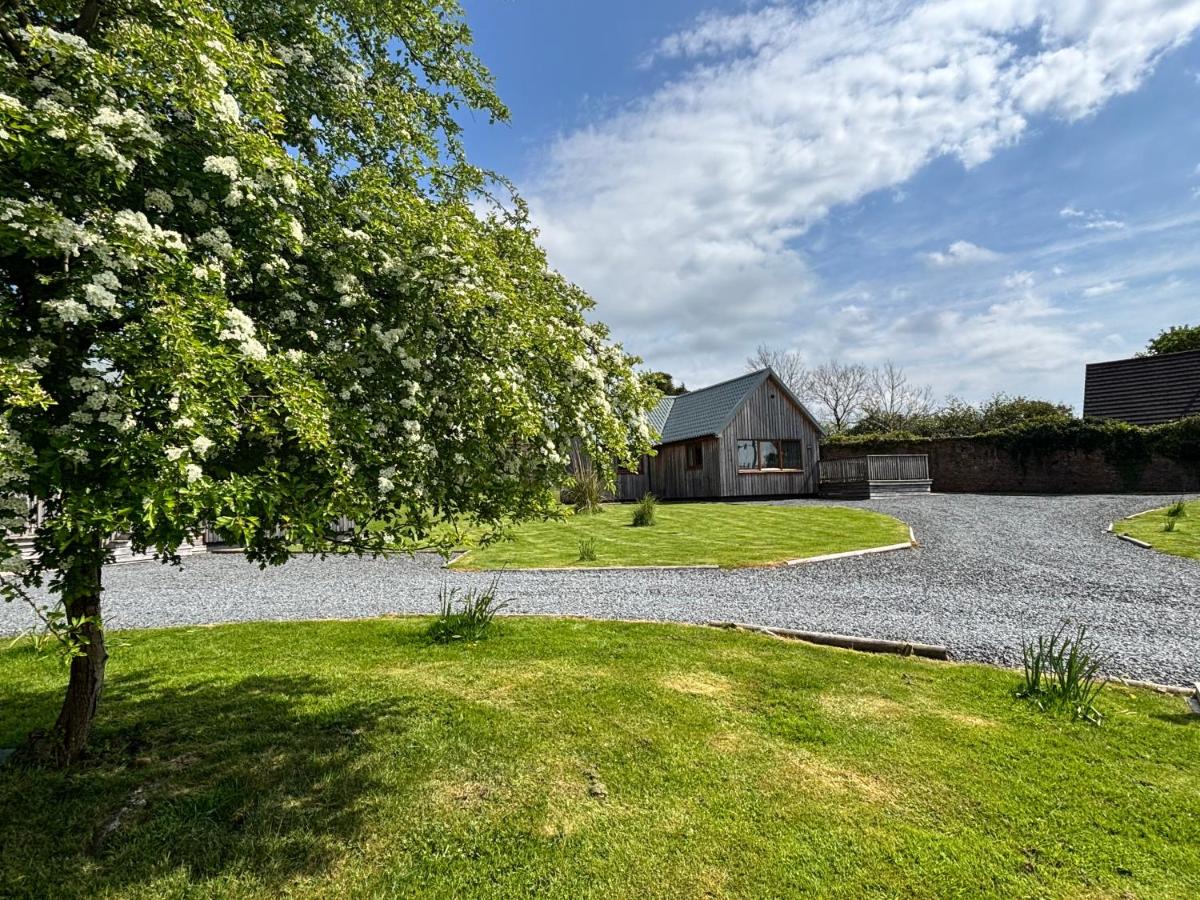Osprey Lodge 8 with Hot Tub - Chambres d’hôtes Newton Stewart
