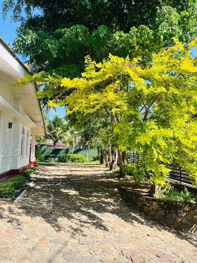 The Releaf-Ambuluwawa - Bed and Breakfast Gampola