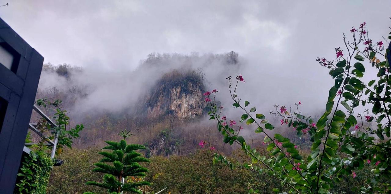Camera Matrimoniale con Vista Parco