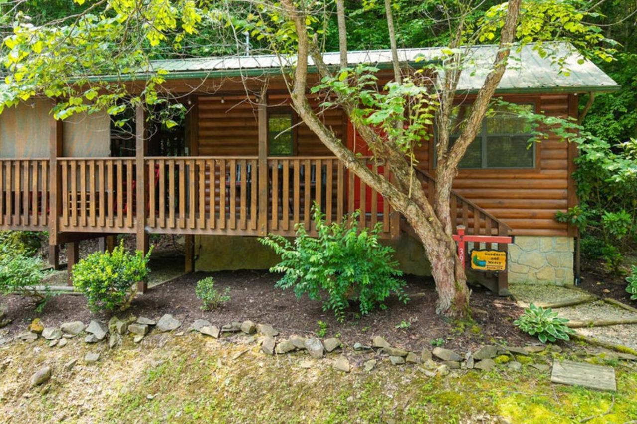 Goodness Mercy Cabin - B&B Sevierville