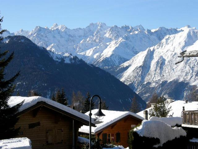 Studio with Mountain View
