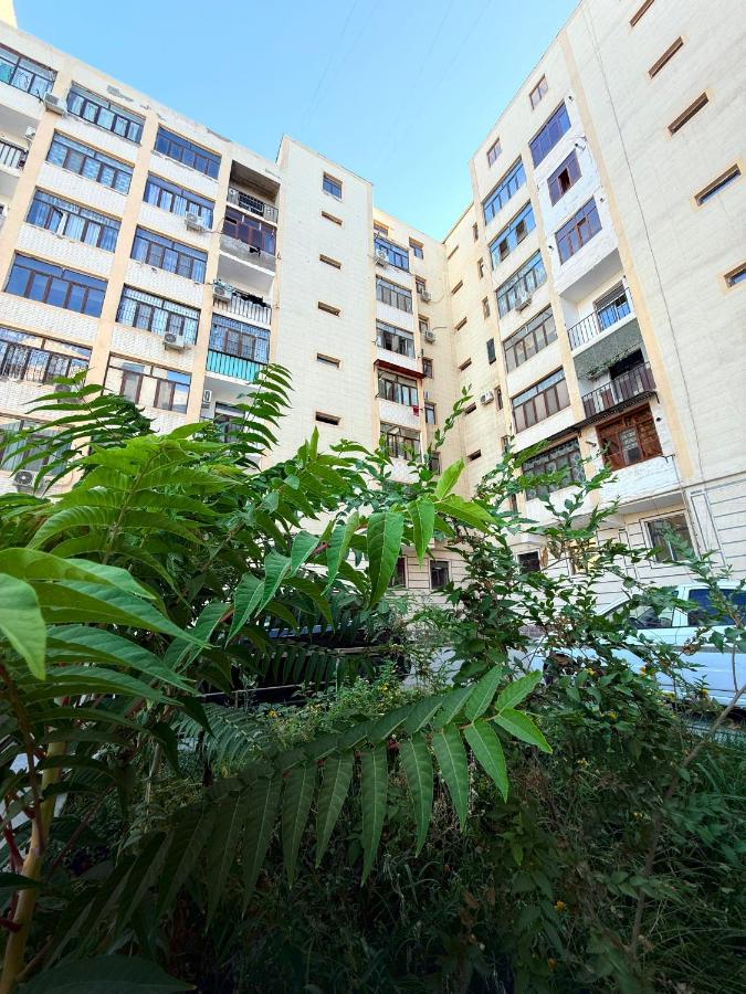 M house - 10 minutes to Old City by Walk - Chambres d’hôtes Boukhara