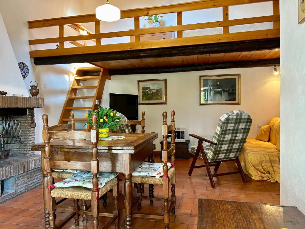 La Loggetta dei Poderi - 5' dalle Terme di Saturnia - B&B Montemerano