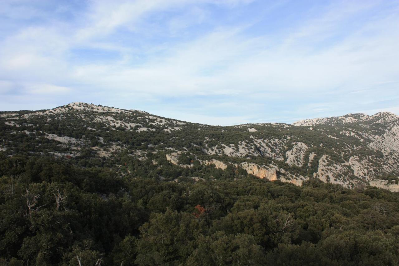 B&B Supramonte - Ferienwohnung