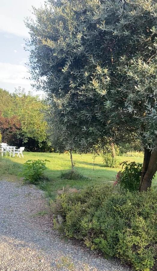 La Cà di Carol - B&B