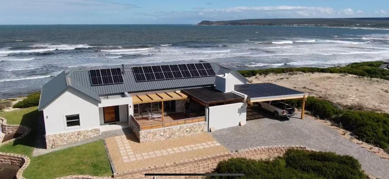 Whale Whispering - B&B Witsand