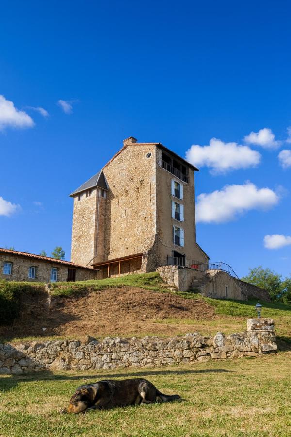 Château Montegut Hebergement atypique batiments exterieurs en renovation - Chambres d’hôtes Montégut