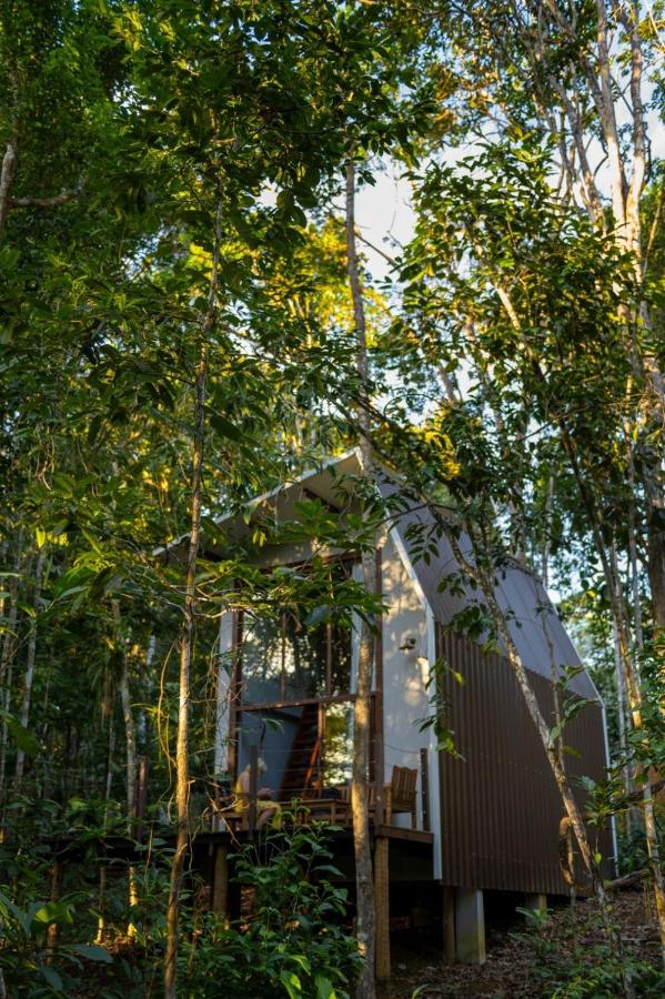 Itacaré Ecolodge - Experiencia de Imersão na Mata Atlântica - Chambres d'hôtes Itacaré
