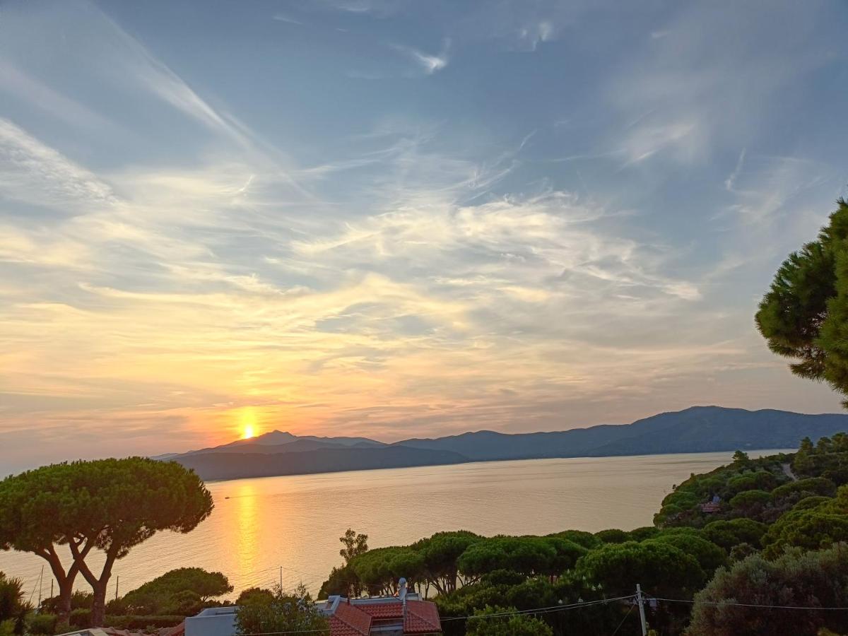 Colibri41elba-Mami Suite - B&B Trappola