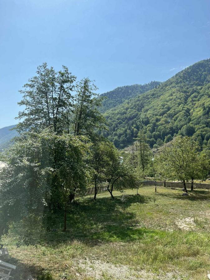 Guest House Tobuldar - B&B K'veda Marghi