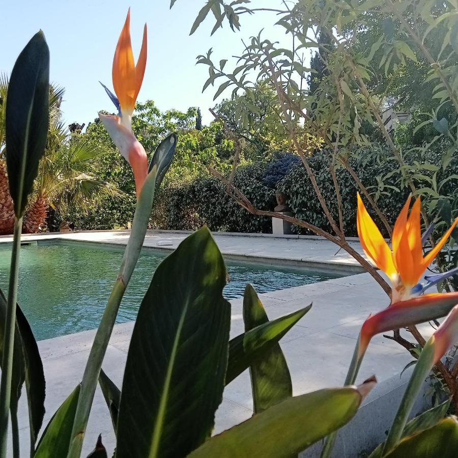 Maison Croisette - B&B Sainte-Maxime