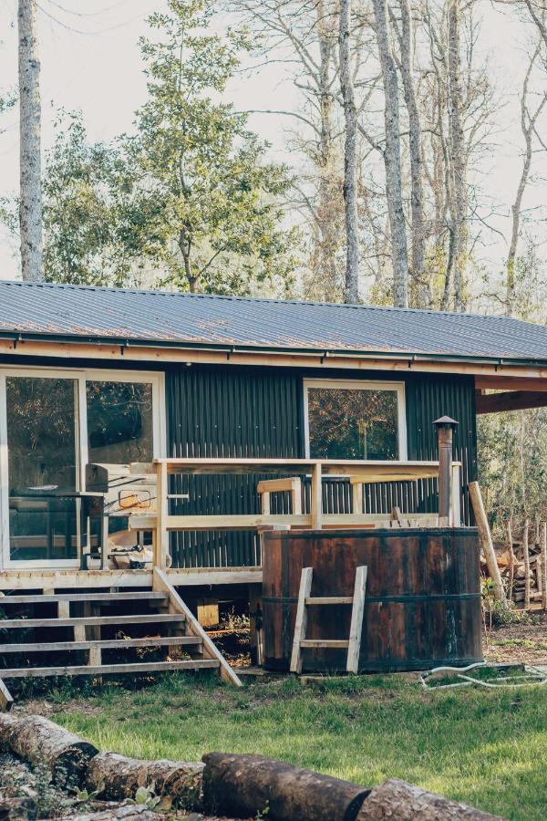 Aldea Molco El Pellin - B&B Villarrica