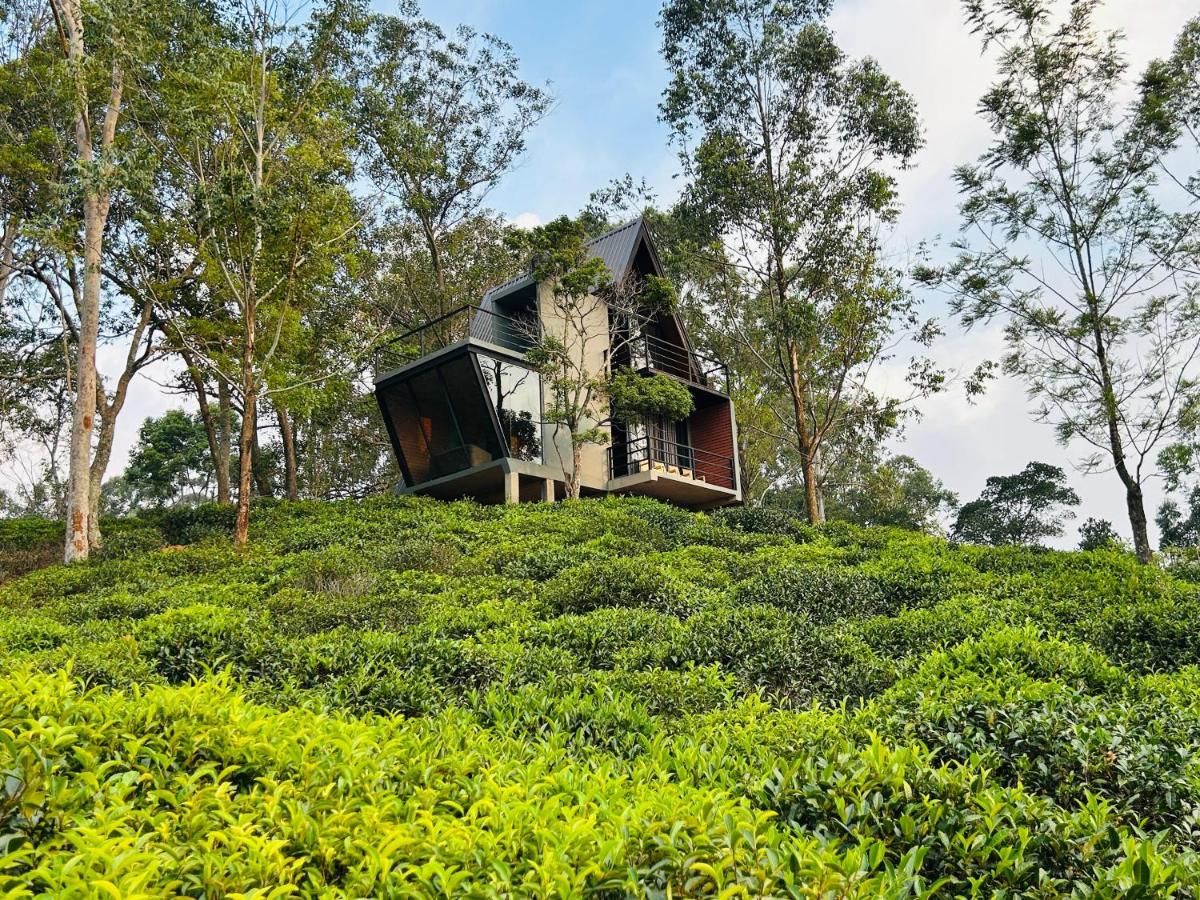 Camellia Lodge Ella - B&B Ella Town