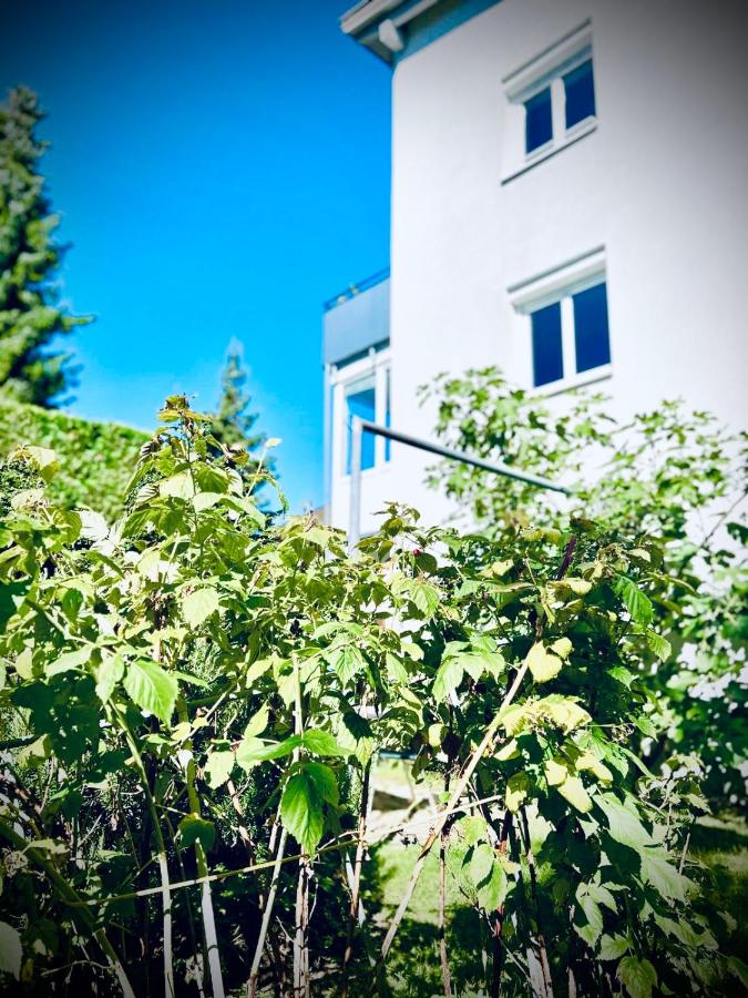 City, See, Ruhe - Bodensee Apartment - B&B Lochau