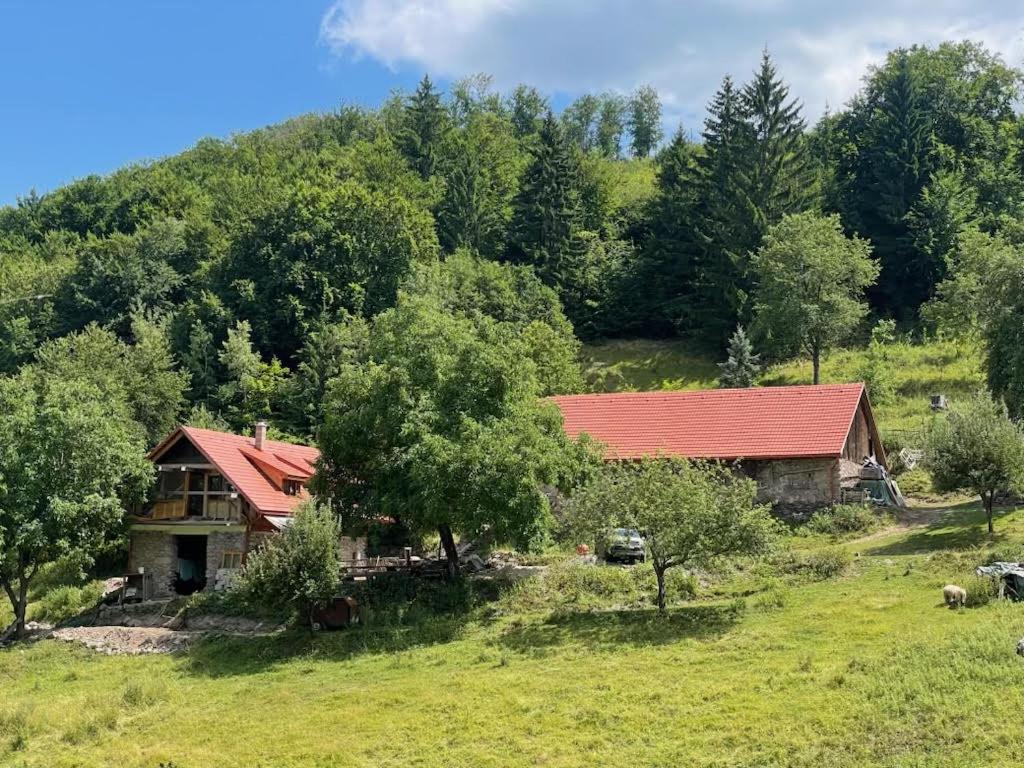 Off-grid Eco Farm Dolinka - B&B Kozelník