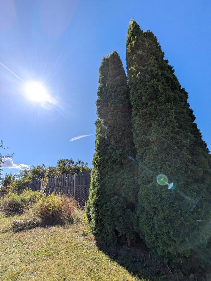 Queen of Safran Ferienhaus - Chambres d’hôtes Büddenstedt
