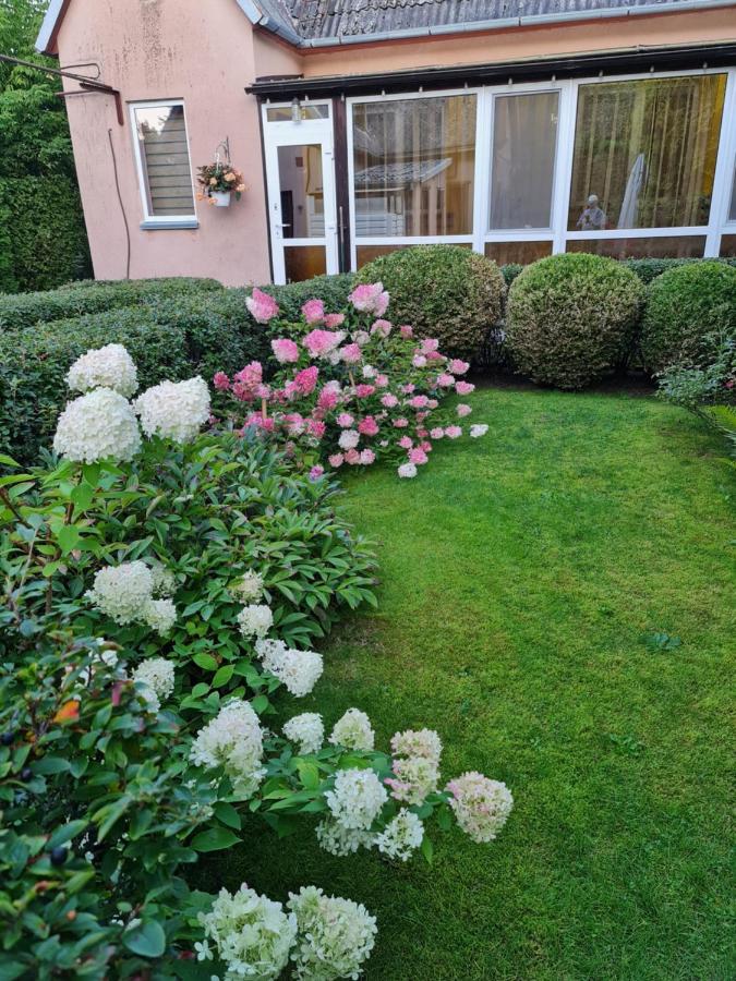 Viešnagė Palangoje pas J&I - B&B Palanga