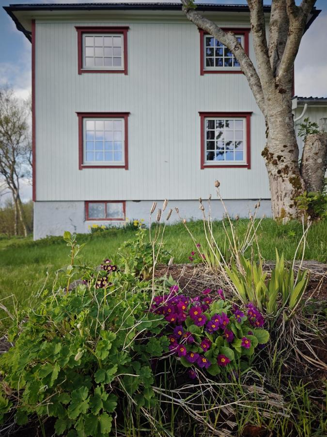 2 Houses & A Barn Twin Room - Bed and Breakfast Leknes