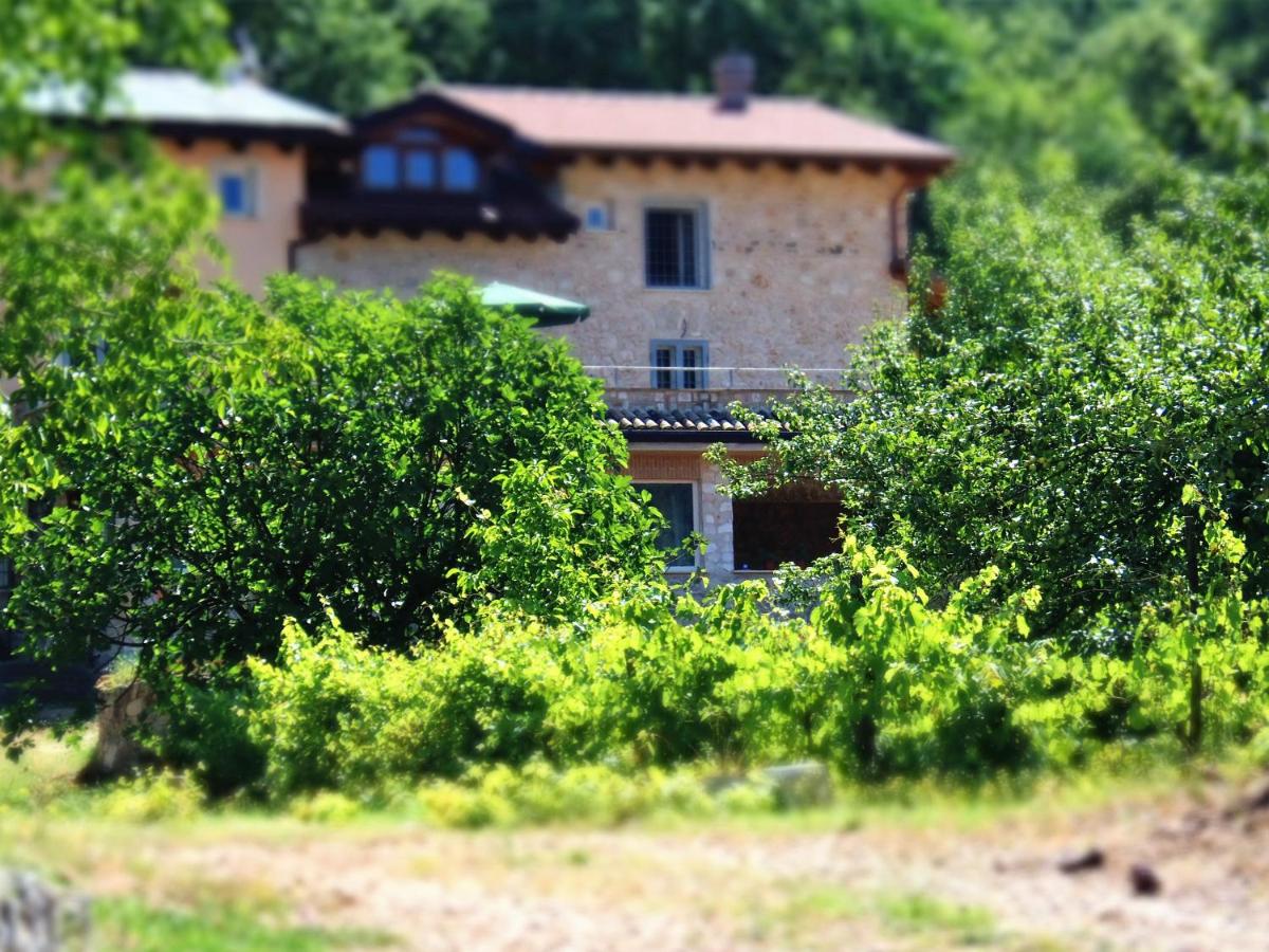 Aecolibrium Country House - Bed and Breakfast