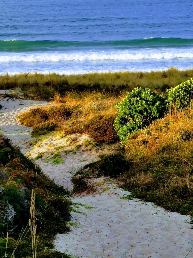 Blue Moon - a Bohemian retreat at Papamoa Beach - B&B Tauranga